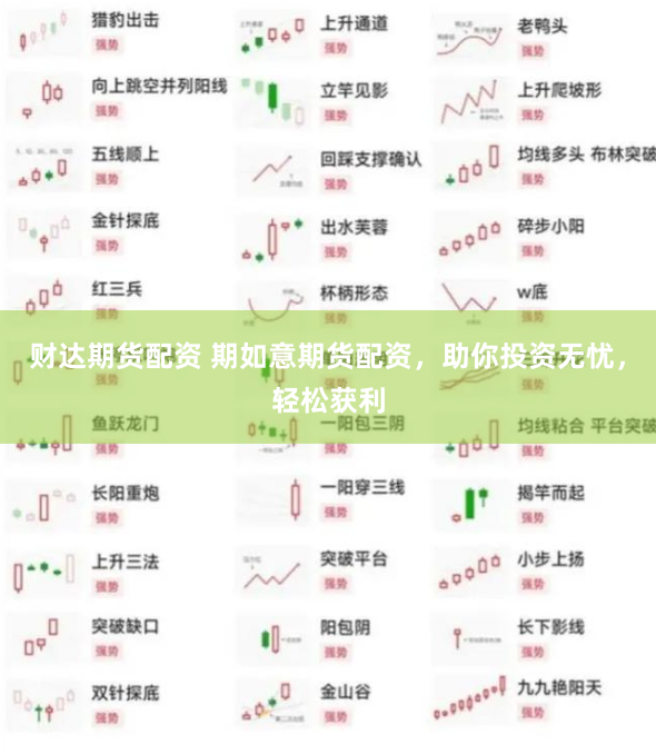 《杠杆的艺术：从韭菜到操盘手，我是如何用配资玩转A股的》